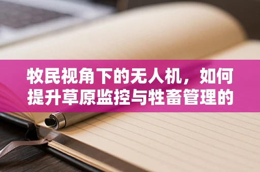 牧民视角下的无人机，如何提升草原监控与牲畜管理的效率？