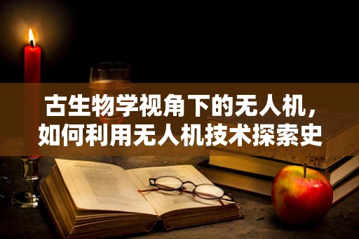 古生物学视角下的无人机，如何利用无人机技术探索史前遗迹？