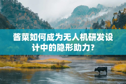 酱菜如何成为无人机研发设计中的隐形助力？