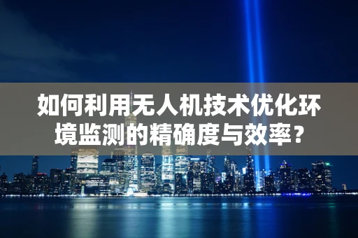 如何利用无人机技术优化环境监测的精确度与效率？