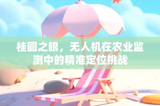 桂圆之眼，无人机在农业监测中的精准定位挑战