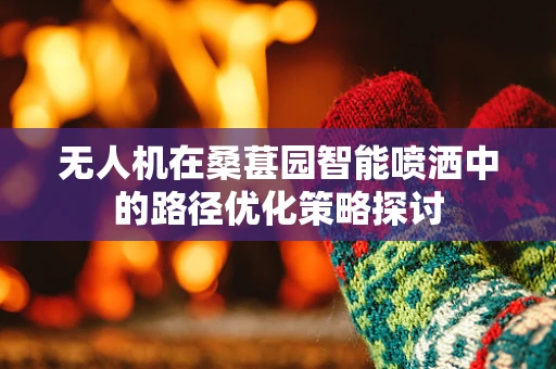 无人机在桑葚园智能喷洒中的路径优化策略探讨
