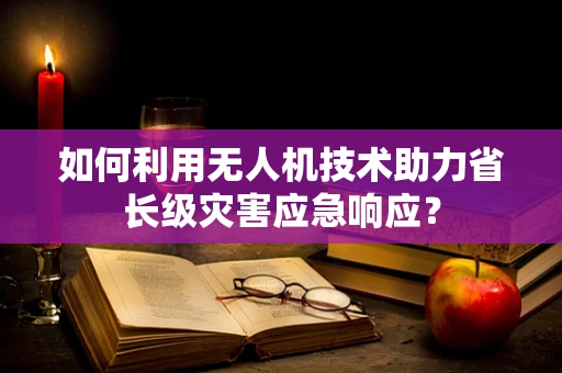 如何利用无人机技术助力省长级灾害应急响应？