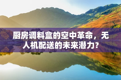 厨房调料盒的空中革命，无人机配送的未来潜力？