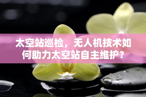太空站巡检，无人机技术如何助力太空站自主维护？