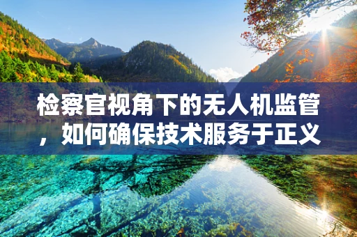 检察官视角下的无人机监管，如何确保技术服务于正义？