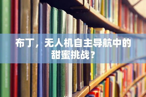 布丁，无人机自主导航中的甜蜜挑战？