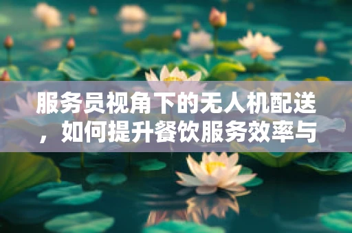 服务员视角下的无人机配送，如何提升餐饮服务效率与顾客体验？