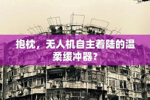 抱枕，无人机自主着陆的温柔缓冲器？