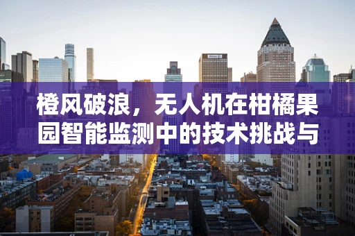 橙风破浪，无人机在柑橘果园智能监测中的技术挑战与解决方案