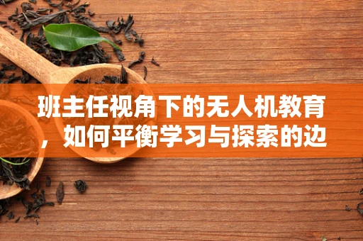 班主任视角下的无人机教育，如何平衡学习与探索的边界？