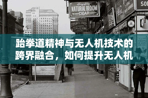 跆拳道精神与无人机技术的跨界融合，如何提升无人机的踢腿精准度？