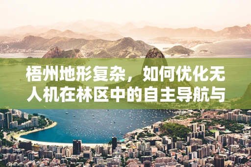 梧州地形复杂，如何优化无人机在林区中的自主导航与避障能力？