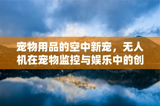 宠物用品的空中新宠，无人机在宠物监控与娱乐中的创新应用？