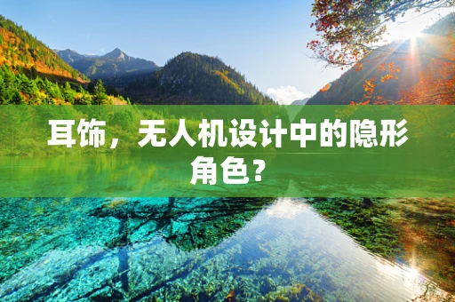 耳饰，无人机设计中的隐形角色？