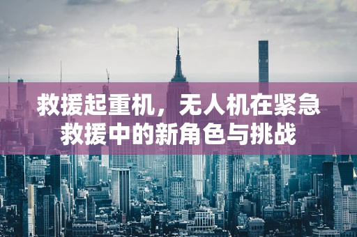 救援起重机，无人机在紧急救援中的新角色与挑战