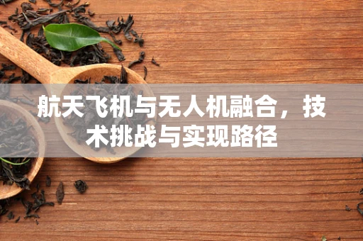 航天飞机与无人机融合，技术挑战与实现路径