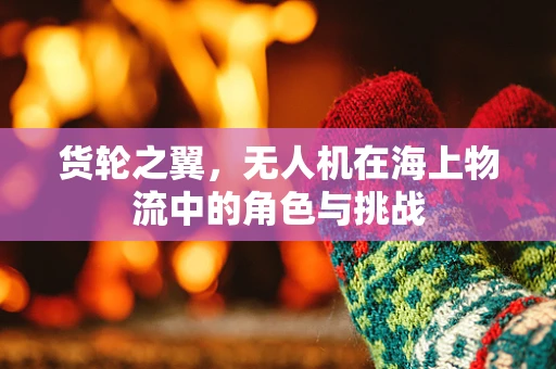 货轮之翼，无人机在海上物流中的角色与挑战