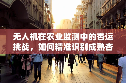 无人机在农业监测中的杏运挑战，如何精准识别成熟杏子？