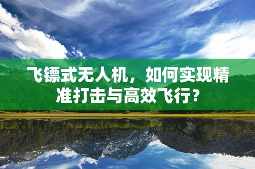 飞镖式无人机，如何实现精准打击与高效飞行？