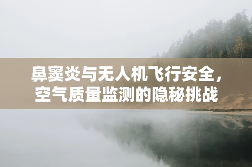鼻窦炎与无人机飞行安全，空气质量监测的隐秘挑战