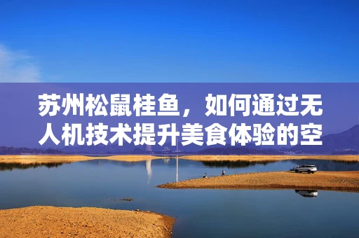 苏州松鼠桂鱼，如何通过无人机技术提升美食体验的空中创新？