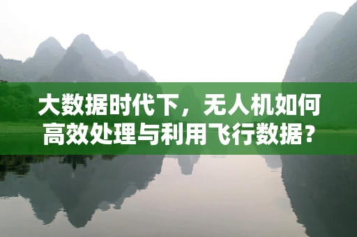 大数据时代下，无人机如何高效处理与利用飞行数据？