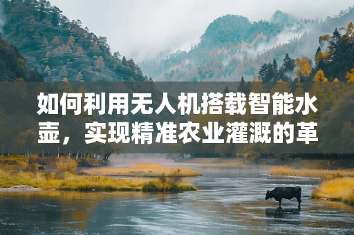 如何利用无人机搭载智能水壶，实现精准农业灌溉的革新？