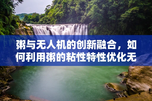 粥与无人机的创新融合，如何利用粥的粘性特性优化无人机飞行稳定性？