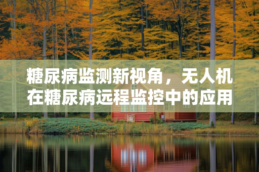 糖尿病监测新视角，无人机在糖尿病远程监控中的应用挑战