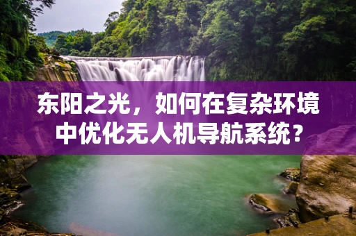 东阳之光，如何在复杂环境中优化无人机导航系统？