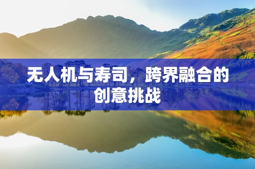 无人机与寿司，跨界融合的创意挑战