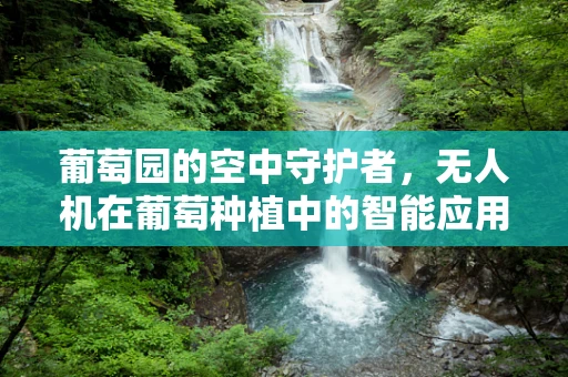 葡萄园的空中守护者，无人机在葡萄种植中的智能应用如何实现？