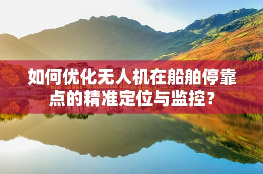如何优化无人机在船舶停靠点的精准定位与监控？