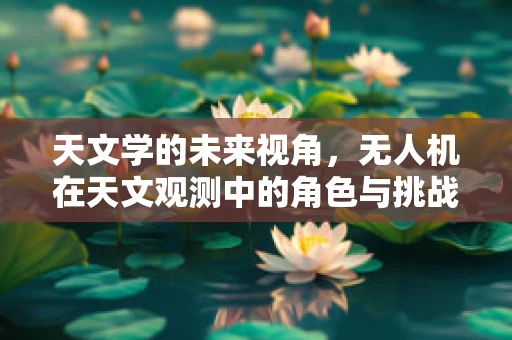 天文学的未来视角，无人机在天文观测中的角色与挑战