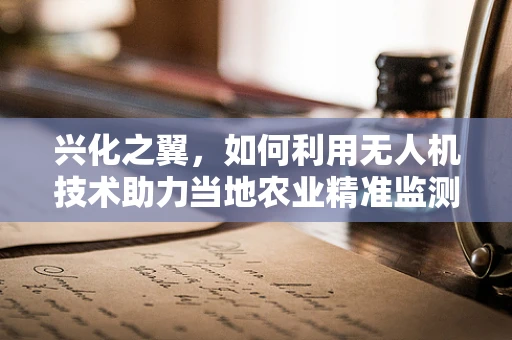 兴化之翼，如何利用无人机技术助力当地农业精准监测？