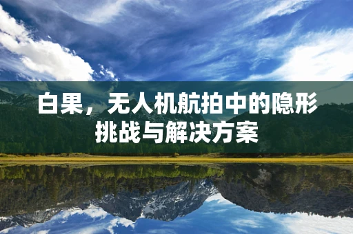 白果，无人机航拍中的隐形挑战与解决方案