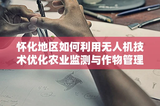 怀化地区如何利用无人机技术优化农业监测与作物管理？