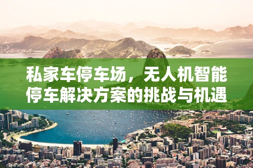私家车停车场，无人机智能停车解决方案的挑战与机遇？
