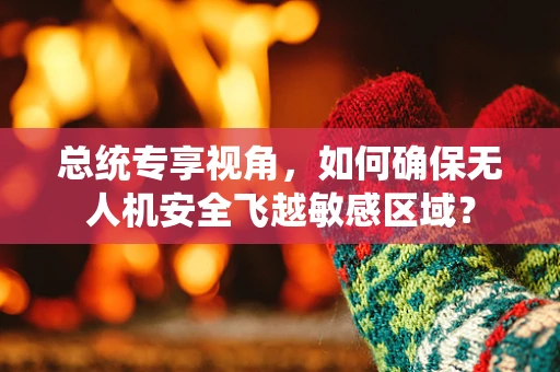 总统专享视角，如何确保无人机安全飞越敏感区域？