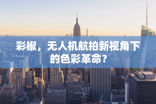 彩椒，无人机航拍新视角下的色彩革命？