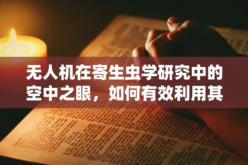 无人机在寄生虫学研究中的空中之眼，如何有效利用其进行高效监测？