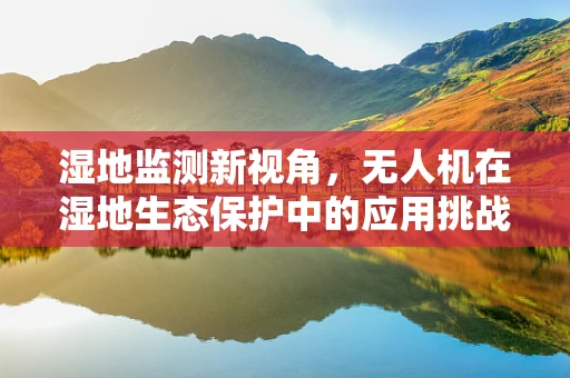 湿地监测新视角，无人机在湿地生态保护中的应用挑战与机遇？