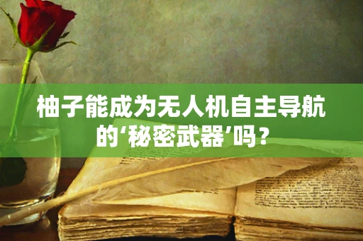 柚子能成为无人机自主导航的‘秘密武器’吗？
