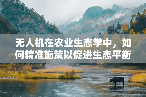 无人机在农业生态学中，如何精准施策以促进生态平衡？