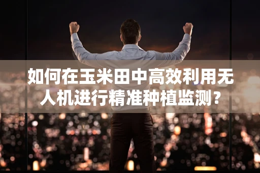 如何在玉米田中高效利用无人机进行精准种植监测？