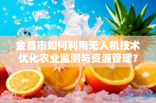 金昌市如何利用无人机技术优化农业监测与资源管理？