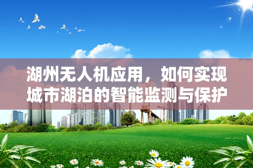 湖州无人机应用，如何实现城市湖泊的智能监测与保护？