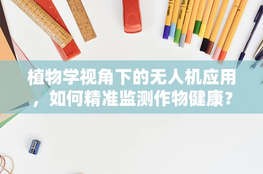植物学视角下的无人机应用，如何精准监测作物健康？