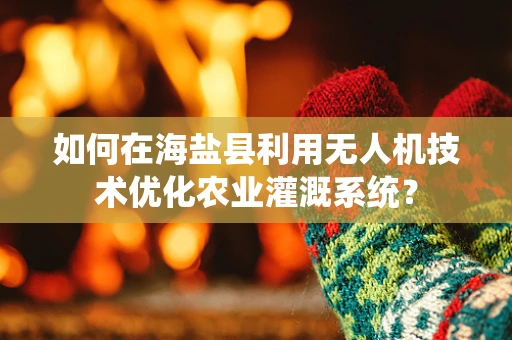如何在海盐县利用无人机技术优化农业灌溉系统？